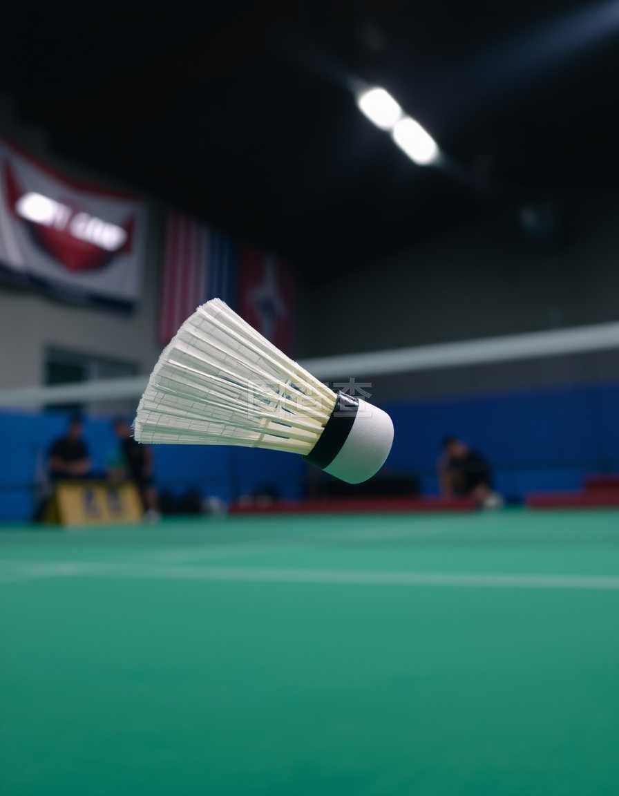 主要发展方 主要发展方