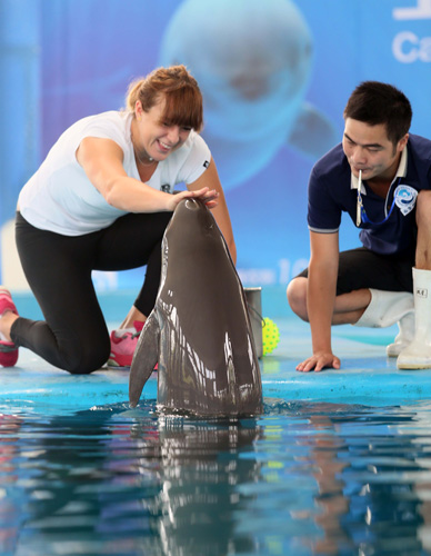 11分收割 11分收割