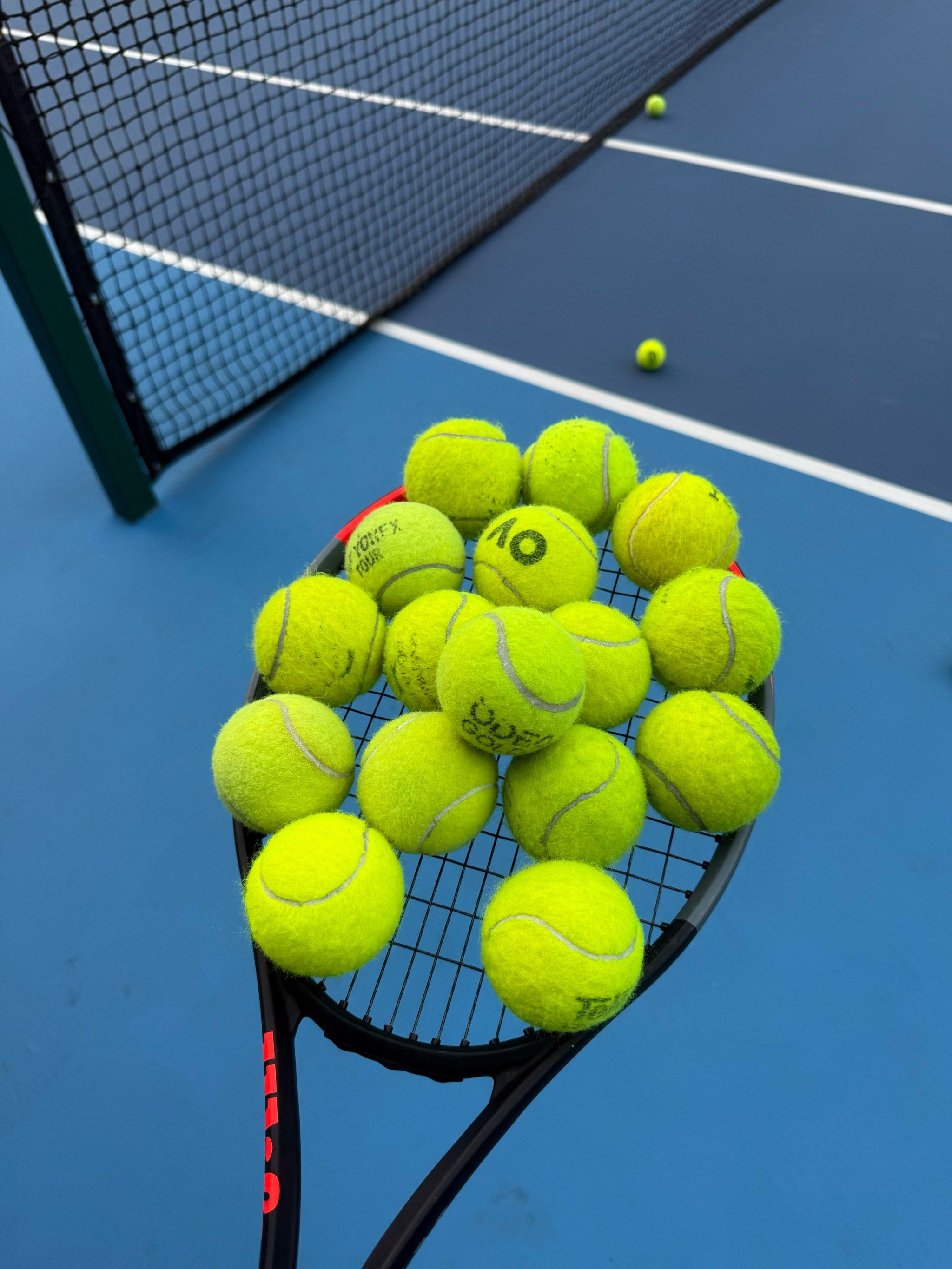 市近日举办 市近日举办